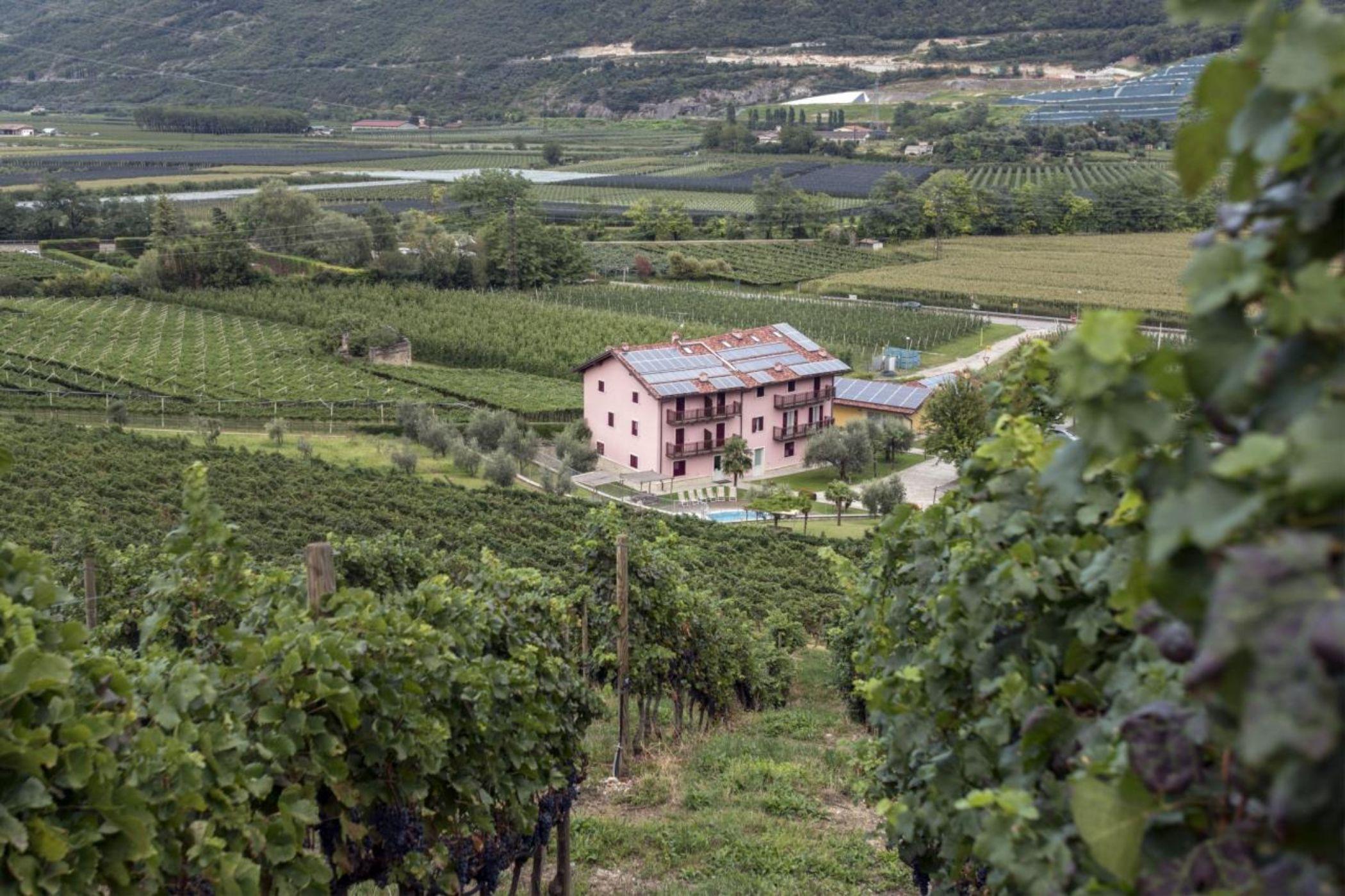 Residence La Vigna Arco Eksteriør billede