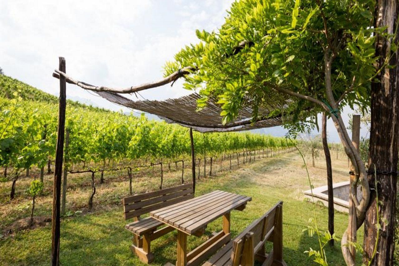 Residence La Vigna Arco Eksteriør billede