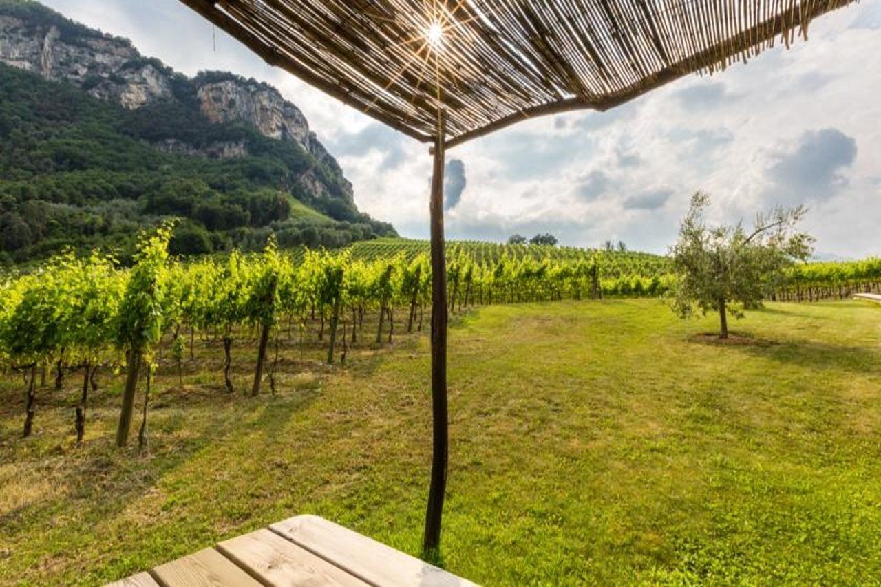 Residence La Vigna Arco Eksteriør billede